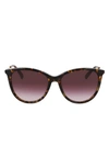Longchamp 55mm Gradient Tea Cup Sunglasses In Dark Havana