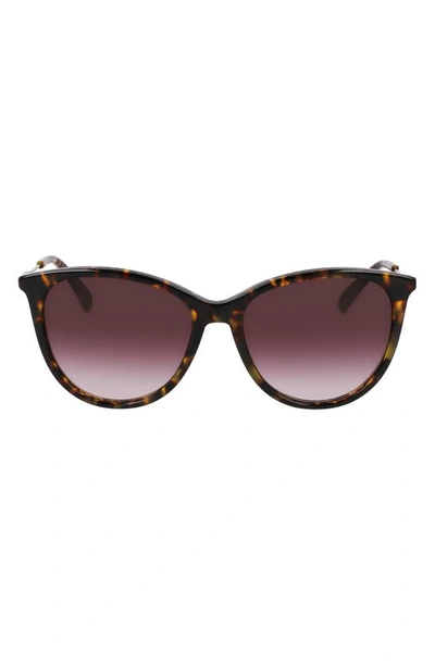 Longchamp 55mm Gradient Tea Cup Sunglasses In Brown