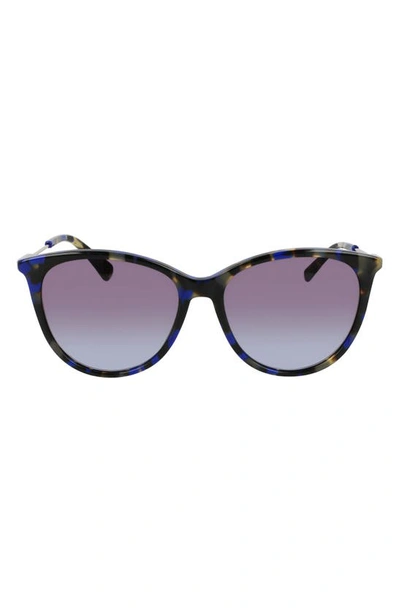 Longchamp 55mm Gradient Tea Cup Sunglasses In Blue Havana