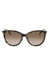 Longchamp 55mm Gradient Tea Cup Sunglasses In Khaki Havana