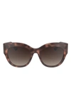Longchamp 55mm Gradient Butterfly Sunglasses In Rose Havana