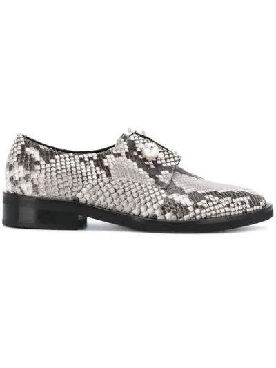 Coliac Sally Snake-print Derby Shoes In Grey