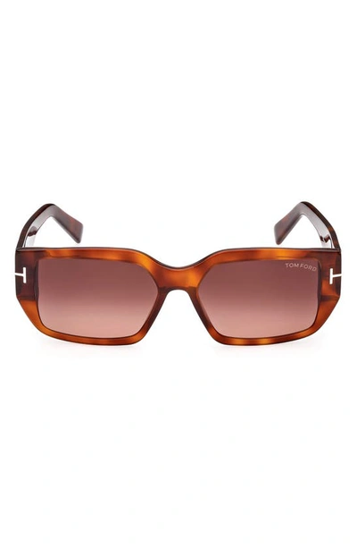 Tom Ford 56mm Square Sunglasses In Blonde Havana / Bordeaux