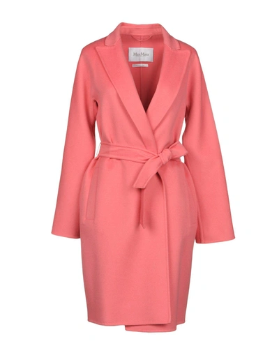 Max Mara In Pink