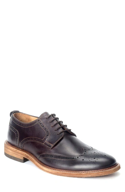 Warfield & Grand Ree Wingtip Derby In Brown