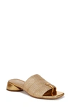 Franco Sarto Loran Sandal In Gold2