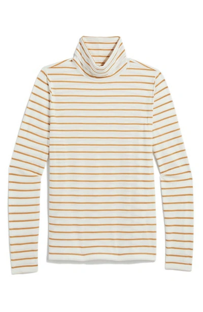 Vineyard Vines Stripe Cotton Turtleneck In Stripe- Marsh/ Almond