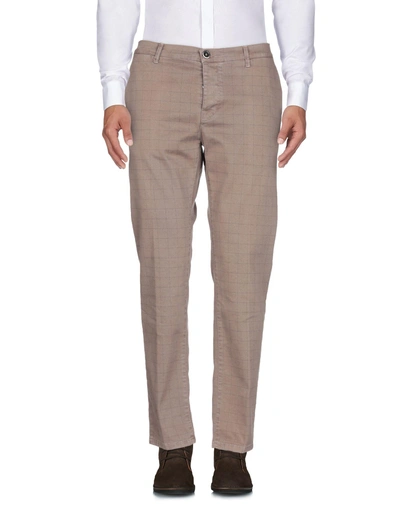 Addiction Casual Pants In Light Brown
