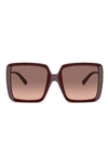 Tiffany & Co 55mm Gradient Square Sunglasses In Burgundy