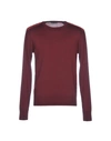 Belstaff Sweater In Maroon