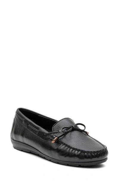 Ara Amarillo Leather Driving Shoe In Black