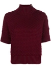 See By Chloé Shortsleeved Knit Jumper In Red