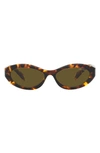 Prada 55mm Irregular Sunglasses In Dark Brown