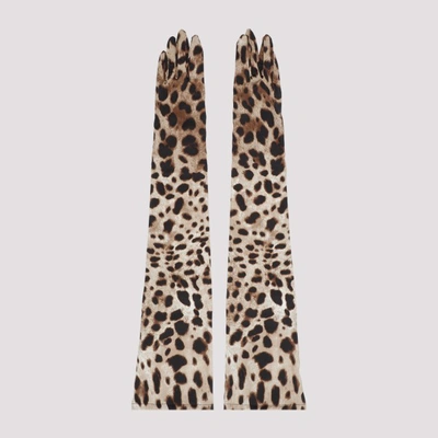 Dolce & Gabbana Long Animalier Silk Gloves In Hym Leo New