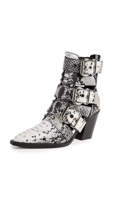 Jeffrey Campbell Caceres Buckle Booties In Black/white Snake