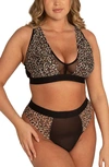 Lemonade Dolls The Synergy Fuller Cup Bralette In Black