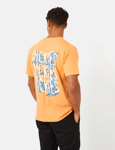 Dickies Creswell T-shirt In Orange