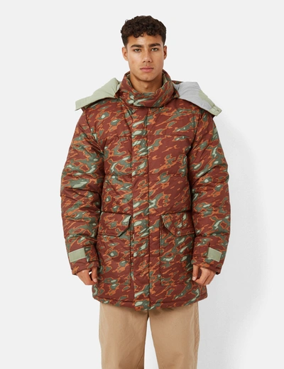 North Face 77 Brooks Range Parka Jacket (glacier Print) In Brown