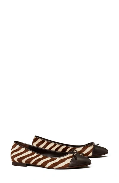 Tory Burch Zebra Genuine Calf Hair Ballet Flat In Zebra / Coco