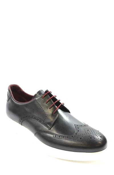 Vellapais Fabriano Brogue Oxford In Black