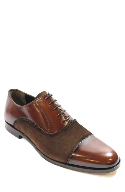 Vellapais Monca Oxford In Dark Brown