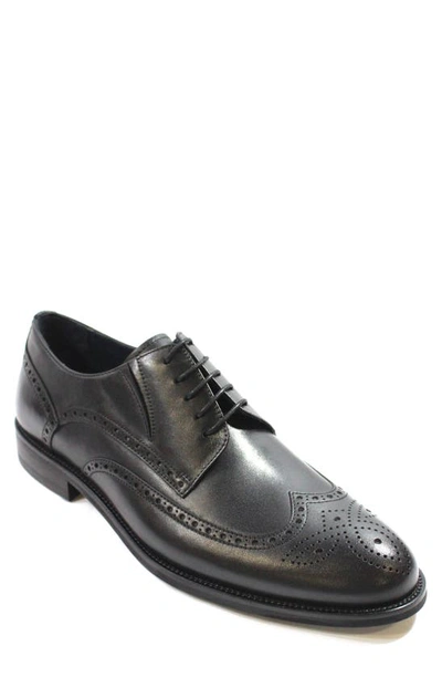 Vellapais Loreto Brogue Oxford In Black