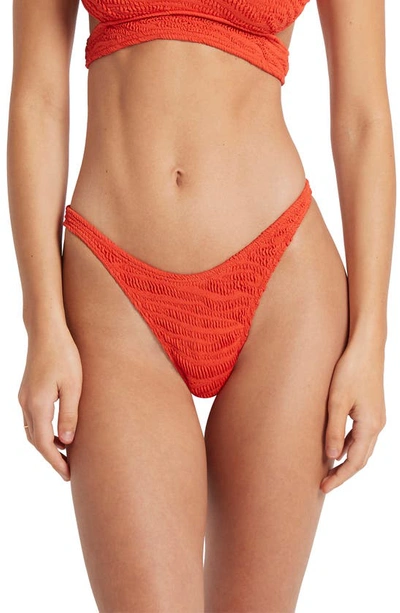 Bondeye Scene Bikini Bottoms In Coral Tiger