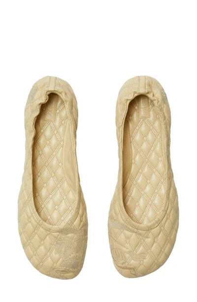 Burberry Sadler Embroidered Mismatched Ballerina Flats In Clay