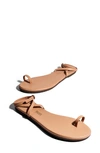 Tkees Phoebe Ankle Strap Sandal In Tan
