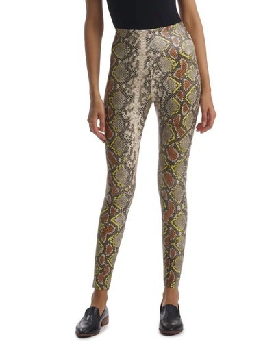 Commando Faux Leather Animal Print Legging In Neon Snake In Multi