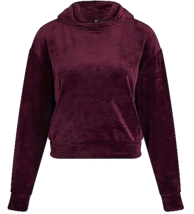 Juicy Couture Velour Cropped Pullover Top In Purple
