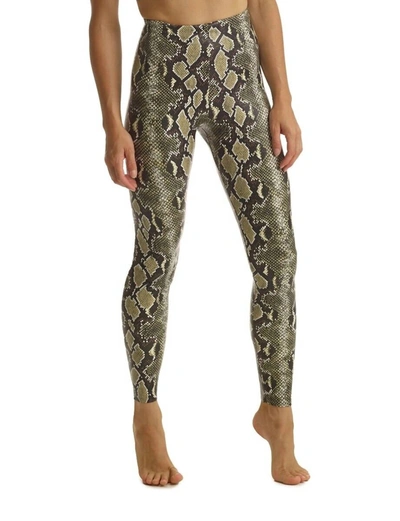 Commando Faux Leather Animal Print Legging In Olive Snake In Multi