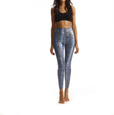 Commando Faux Leather Animal Print Legging In Blue Snake In Multi