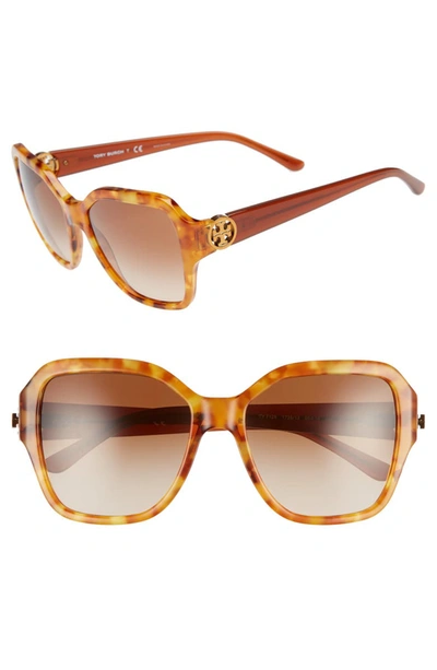 Tory Burch Reva 56mm Square Sunglasses - Transparent Light Blue In Amber Tort/brown Gradient Dark Brown