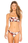 Stone Fox Swim Bliss Bikini Top In Sunburnt Hibiscus