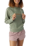 O'neill Offshore Pullover Hoodie In Lily Pad