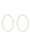 Nadri Zoe Cubic Zirconia Medium Hoop Earrings In Rhodium