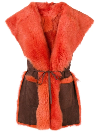 Alberta Ferretti Sleeveless Oversized Collar Jacket - Yellow In Yellow & Orange