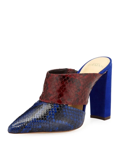 Alexandre Birman Two-tone Python Snake/suede Block-heel Mules In Blue