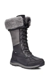 Ugg Adirondack Iii Waterproof Tall Boot In Black/ Grey