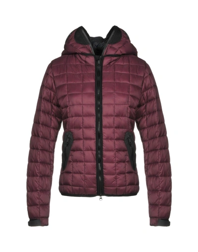 Ai Riders On The Storm Jacket In Mauve