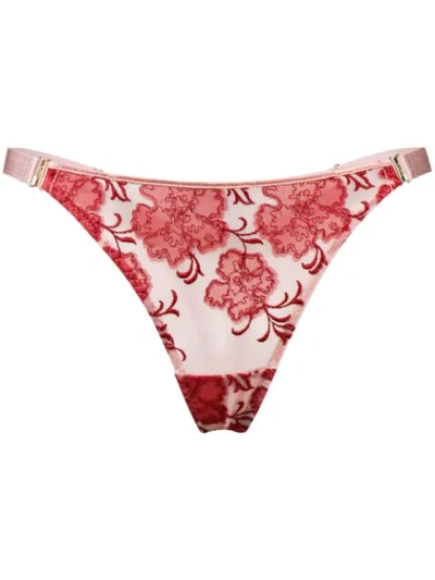 Bordelle Amaya Thong - Pink