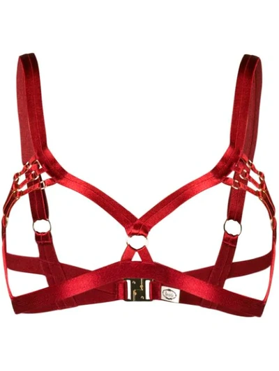 Bordelle Bondage-belle Bra In Red