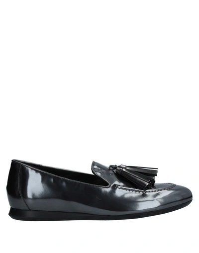Hogan Loafers In Lead