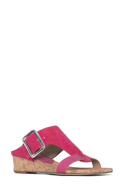 Donald Pliner Vine Buckled Wedge Sandal In Magenta