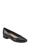 Easy Spirit Carey Pointy Toe Pump In Blk01