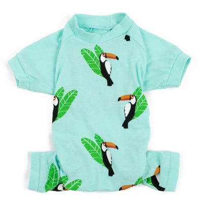 Leveret Dog Cotton Pajamas Toucan Bird In Multi