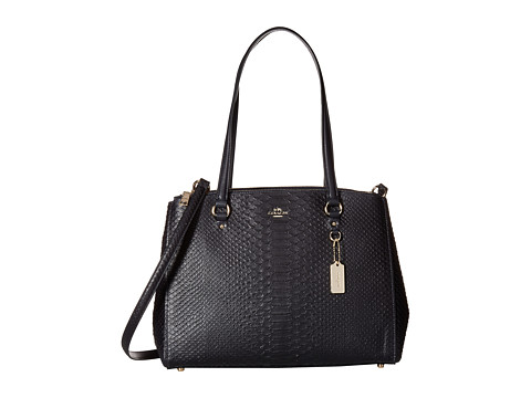 coach stanton carryall