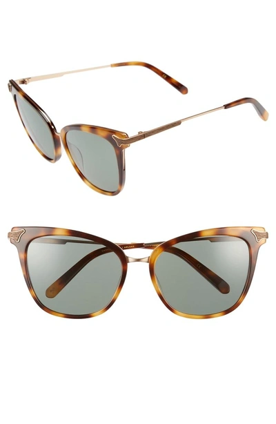 Shwood Arlene 56mm Polarized Cat Eye Sunglasses - Tortoise/gold/ Green