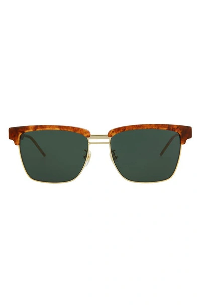 Gucci 56mm Square Sunglasses In Havana Green